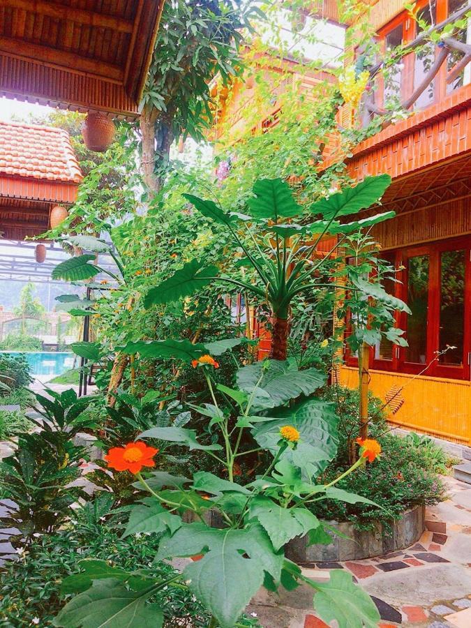 Tam Coc Amanda Villas ニンビン エクステリア 写真